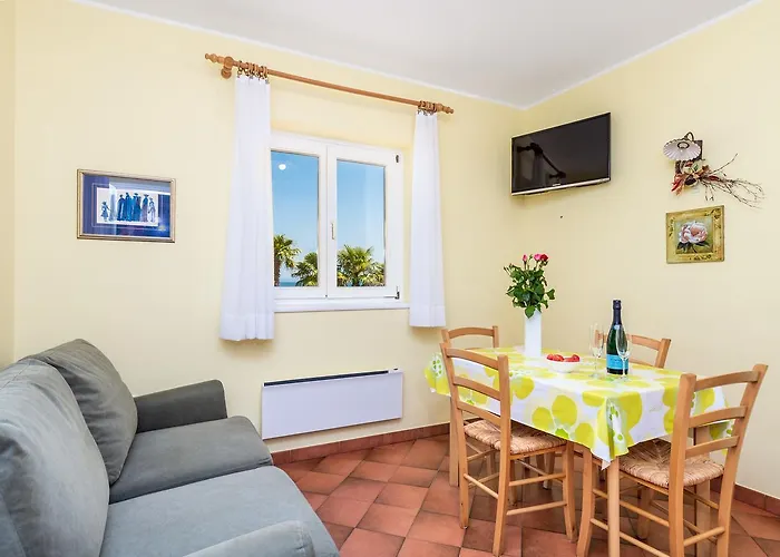 Rona Apartments Ani