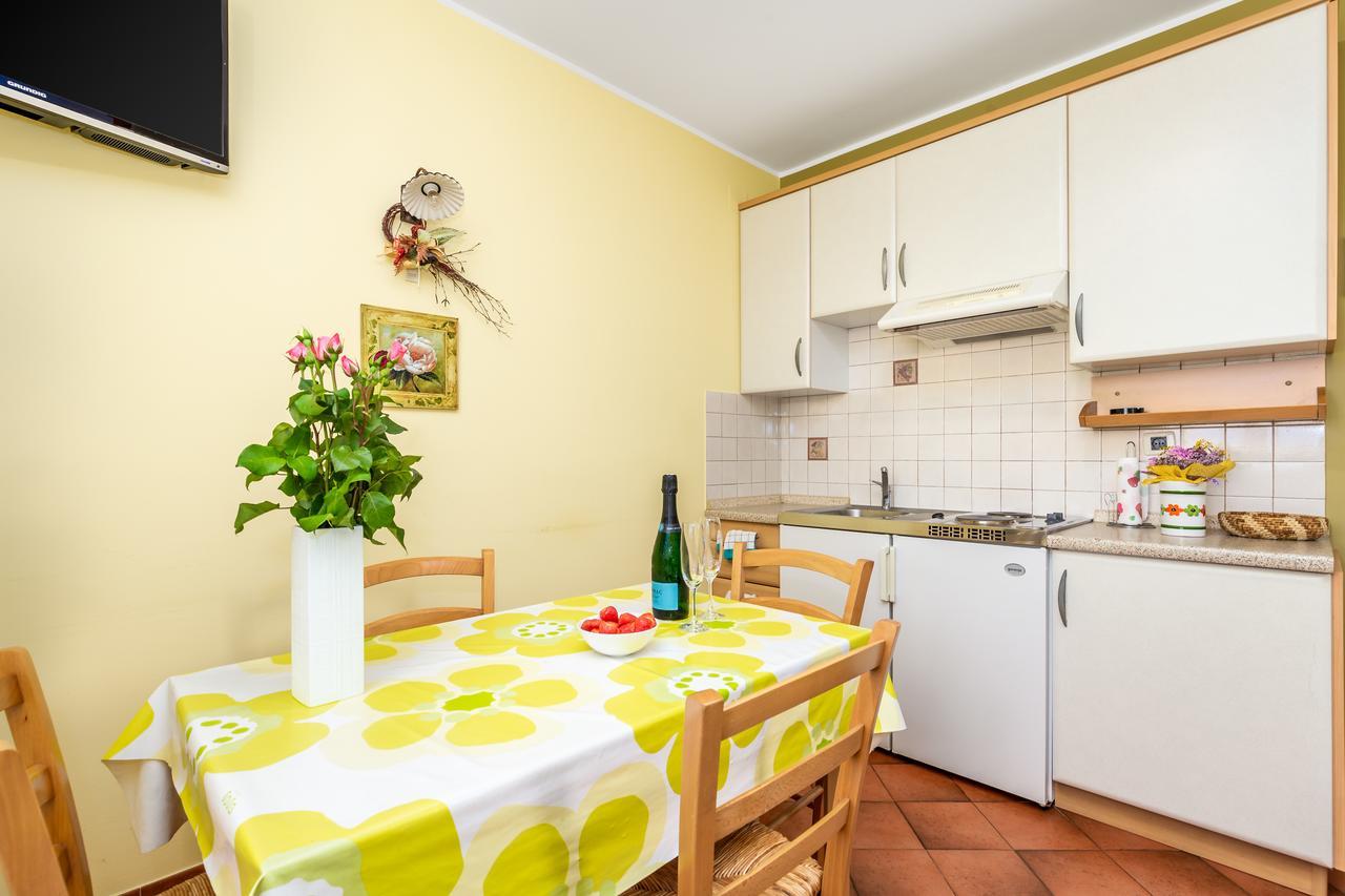 Apartment Rona Ani *