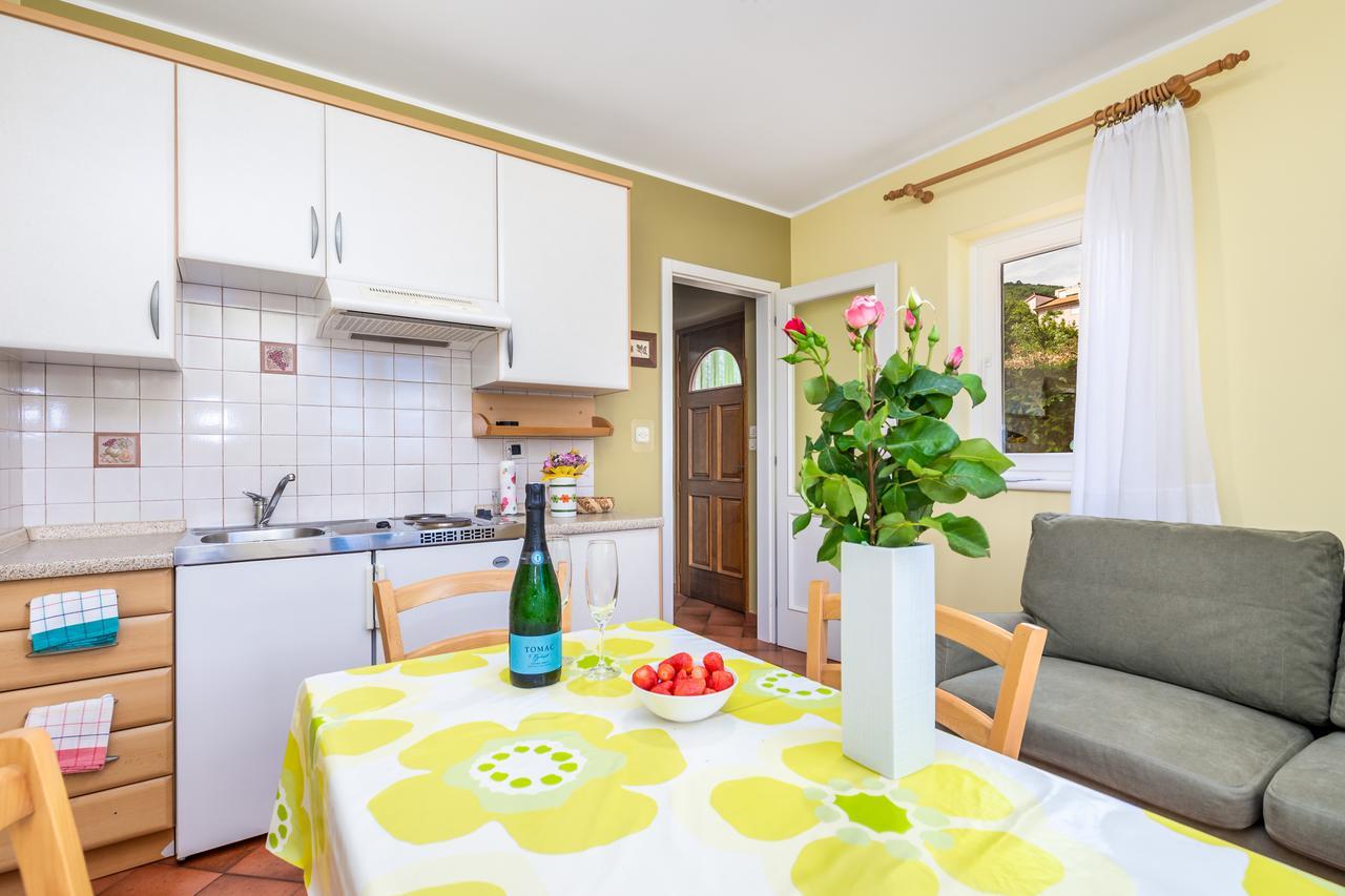 Rona Ani Apartment Ičići